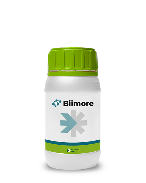 Biimore_per sito web