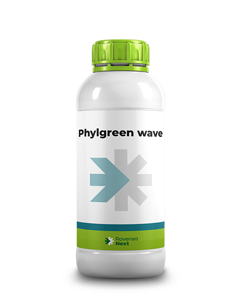 x sito BOTTLE_1L_PHYLGREEN WAVE