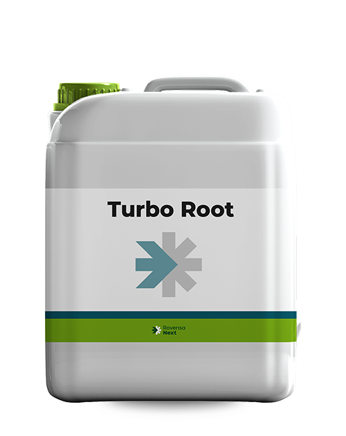 TURBO ROOT RENDER_X SITO WEB