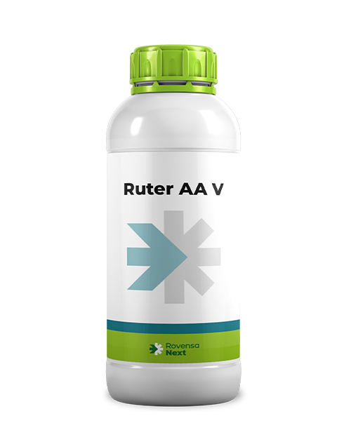 RUTER AA V_1L_website packaging